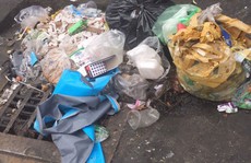 TP HCM: Chính quyền phải dọn nếu rác 'ngự' trên đất công