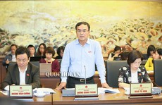 Chủ tịch EVN cho rằng đại biểu Lê Thu Hà tính chưa đúng về giá điện