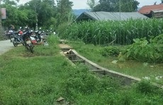 Thu hoạch lạc giúp thông gia, người đàn ông bị sét đánh tử vong