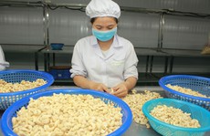 Khai thác thị trường lạ ngại rủi ro thanh toán