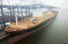 Hải Phòng đón tàu container 'khủng' nhất từ trước tới nay dài 330 m
