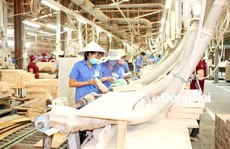 ĐỒNG NAI: Nhiều doanh nghiệp ngành gỗ sai phạm trong lĩnh vực lao động