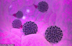 'Lợi dụng' virus đường tình dục, phát hiện ung thư sớm 40 năm