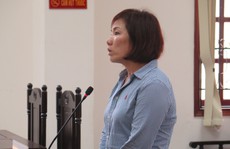 Nữ doanh nhân gây tai nạn kinh hoàng ở Hàng Xanh lãnh án tù