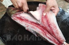 'Chết thèm' với tuyệt chiêu làm gỏi cá mè Cẩm Hoàng