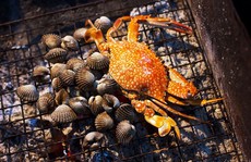 Những đặc sản hiếm có khó tìm ở đất rừng U Minh Cà Mau
