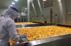 Mở cánh cửa lớn sang EU: Rộng đường cho nông nghiệp
