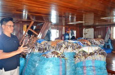 Nông - thủy sản lại bí đầu ra