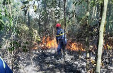 Đà Nẵng: Cháy lớn suốt 5 giờ khiến 3 hecta rừng bị thiêu rụi