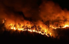 Vụ cháy rừng ở núi Hồng Lĩnh: Tạm giữ một nghi can