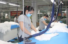 ĐỒNG NAI: Công nhân không muốn tăng tuổi nghỉ hưu