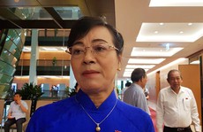 Bà Nguyễn Thị Quyết Tâm: Đã có kết luận về vi phạm của ông Đoàn Ngọc Hải