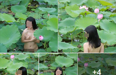 Cô gái chụp hình khỏa thân trong hồ sen là diễn viên