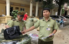 Bắt lô hàng túi xách Adidas, Nike 'nhái'