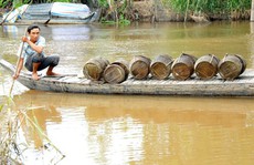 Nước Mê Kông thấp kỷ lục, ĐBSCL lo mất lũ