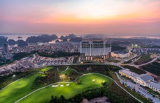 Thú vui 'sang chảnh' mới ở Hạ Long: thưởng trà từ độ cao 100m