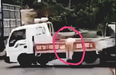 Vụ xe gỗ lậu tông CSGT: Công an tỉnh Gia Lai vào cuộc