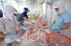 Doanh nghiệp 'xắn tay' khai thác EVFTA: Cần nhà nước hỗ trợ