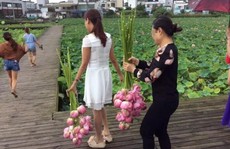 Ngỡ ngàng cảnh hàng trăm du khách Trung Quốc leo rào hái trộm hoa