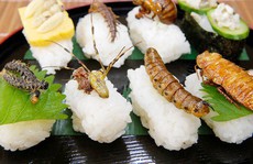Thái Lan: Côn trùng được phục vụ tại khách sạn 5 sao như đặc sản