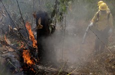 Brazil nói không với tiền viện trợ cứu rừng Amazon của G7