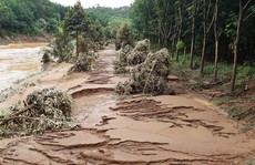 Nhiều khu vực tỉnh Bình Phước thiệt hại hơn 7 tỷ đồng do mưa lũ
