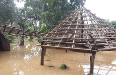 Hai người thiệt mạng trong lũ lụt ở Đồng Nai