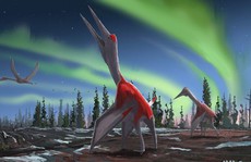 Phát hiện 'Rồng Lạnh' – sinh vật lạ sải cánh 10 m tàn sát muôn loài