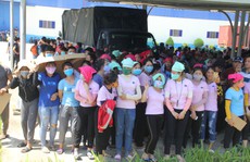 Hàng ngàn người ngưng việc vì thức ăn 'có dòi': Công ty nhận trách nhiệm, xin lỗi công nhân