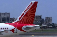 Vòi rồng diệt hàng ngàn con ong cho máy bay Air India cất cánh