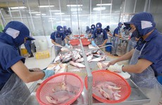 Doanh nhân hiến kế phát triển kinh tế đất nước