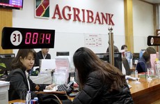 Agribank phát hành trái phiếu, lãi suất 8,1%/năm