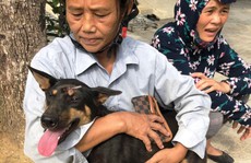Vụ triệt phá băng nhóm trộm chó hơn 100 tấn: ACPA hỗ trợ chăm sóc chó bị thương