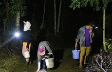 Vì sao đêm đến nhiều người lại đổ về vùng đồi đá xã Gia Kiệm?