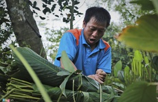 Người vùng trồng lá dong lớn nhất Hà Tĩnh trúng mùa