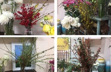 Chi tiền triệu mua hoa ngoại chưng Tết