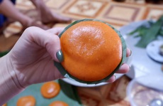 Xuân này lại nhớ bánh giầy xưa