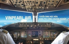 Vingroup dừng kinh doanh vận tải hàng không, 'đóng cửa' Vinpearl Air