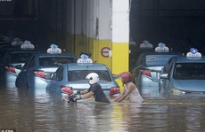 Jakarta: Mưa 'không bình thường' một đêm, 16 người chết
