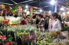 Hoa cắt cành phong phú, kiểng chậu tăng giá