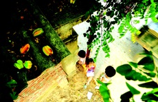 Những mùa Tết khác