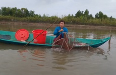 CLIP: Về Cà Mau xem nông dân bắt cá kèo ăn Tết