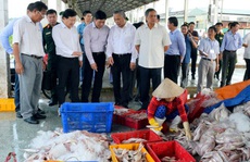 Quyết liệt gỡ 'thẻ vàng' IUU