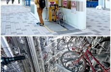 Những điều kỳ lạ chỉ có ở đất nước Nhật Bản