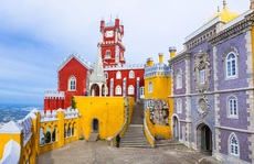 Bên trong lâu đài Disneyland dành cho người lớn