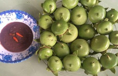 Những công dụng của trái bần, càng ăn càng mê