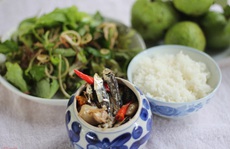 Trời mưa, ăn cá khô kho với cơm nguội