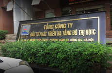 Kiểm toán Nhà nước: Nhiều công ty con của UDIC vào diện 'giám sát đặc biệt'