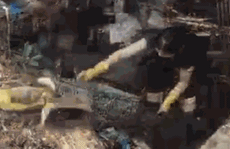 CLIP: Nước rút, tiểu thương chợ Hà Tĩnh “chết lặng” vì hàng trăm tấn hàng biến thành rác