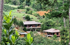 Làng biệt thự trái phép trong rừng: UBND tỉnh Lâm Đồng chỉ đạo khẩn, cắt điện trung thế